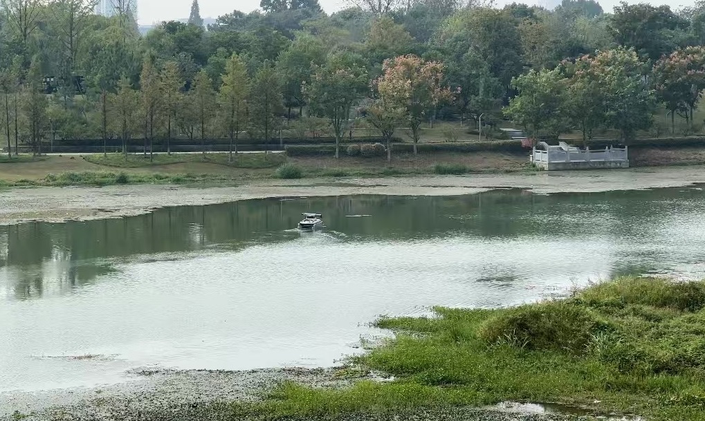 《财米油盐》不定时vlog｜5G在“浙”里高飞 低空经济抵达