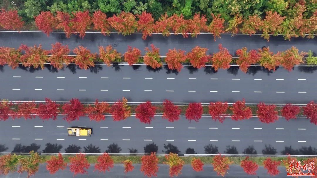 打卡湖南秋日限定美景，去这几个地方就够了