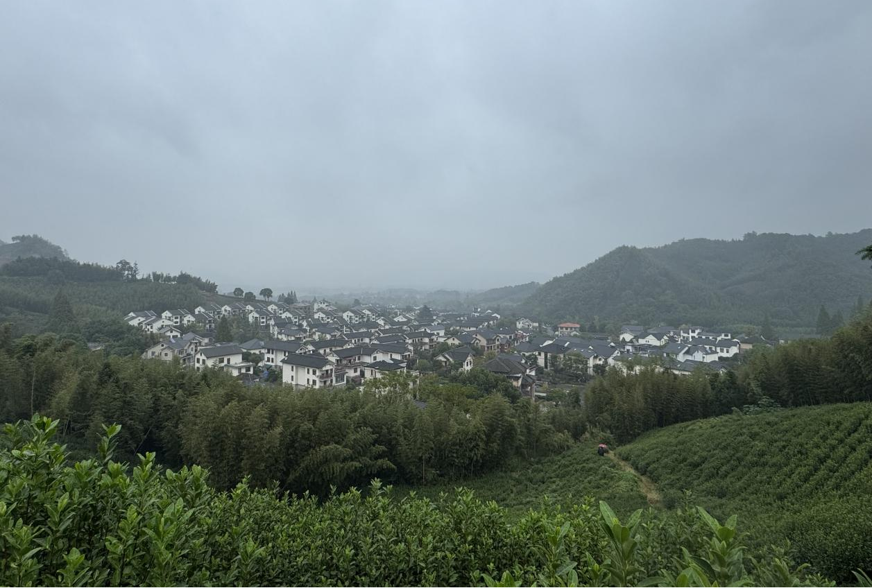 细雨笼罩下的径山村